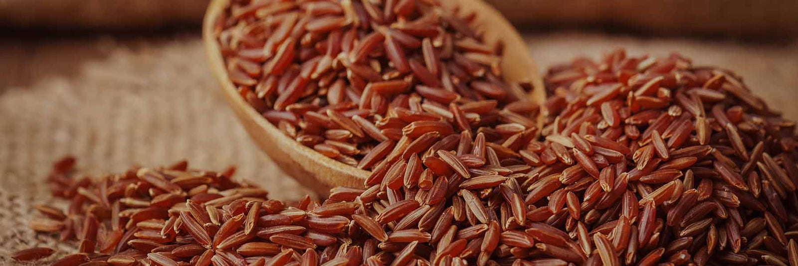 Brown Rice Protein - Nutracelle