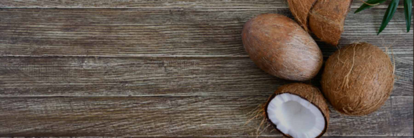 Coconut Oil - Nutracelle