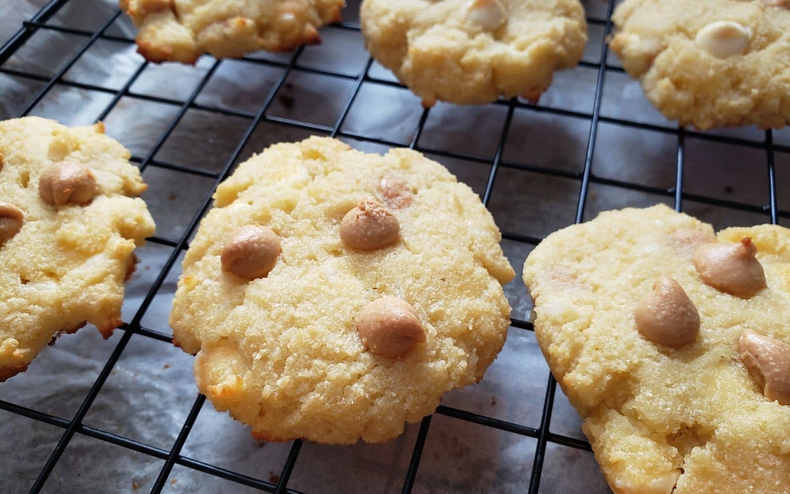 Easy Coconut Flour Caramel Cookies - Nutracelle