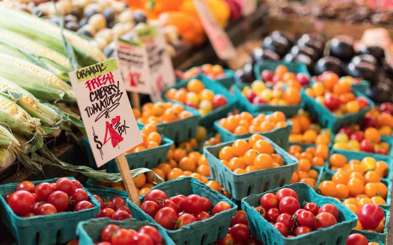 My Healthy Food Choices: Gillian's Journey - Nutracelle