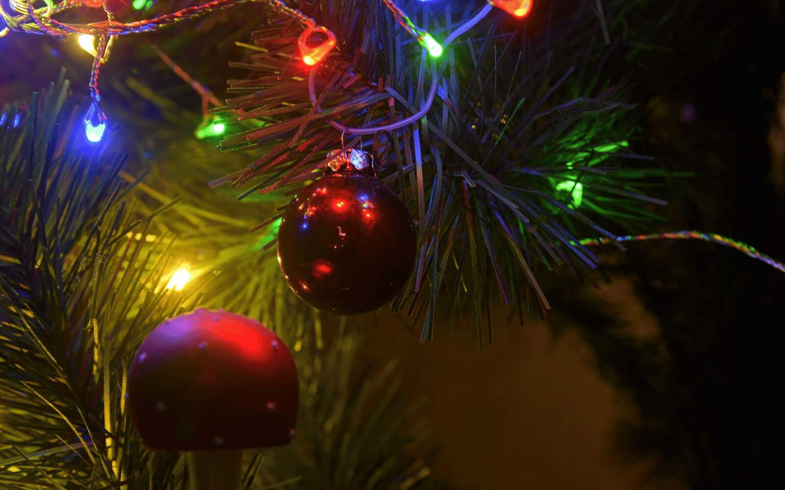 10 Easy Ways to Avoid Stress over the Holidays - Nutracelle