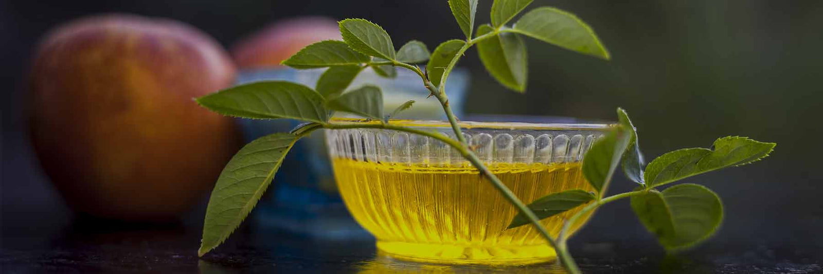 Apple Pectin - Nutracelle