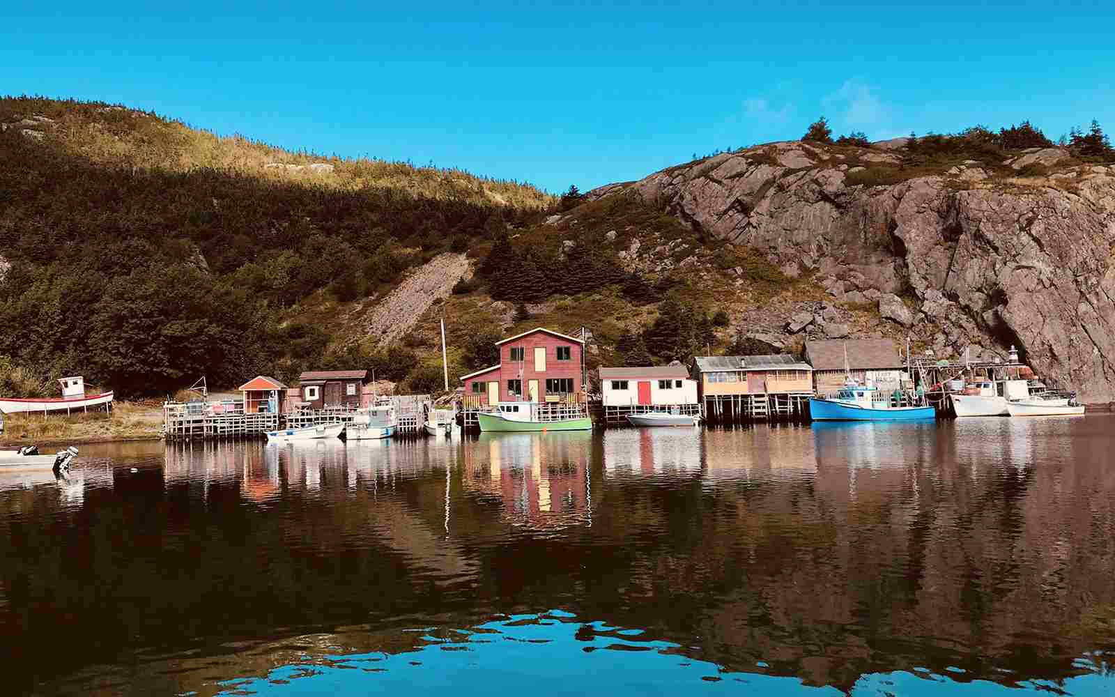 Baby Showers, Temptations, and Healthy Choices: Gillian's Journey - Nutracelle