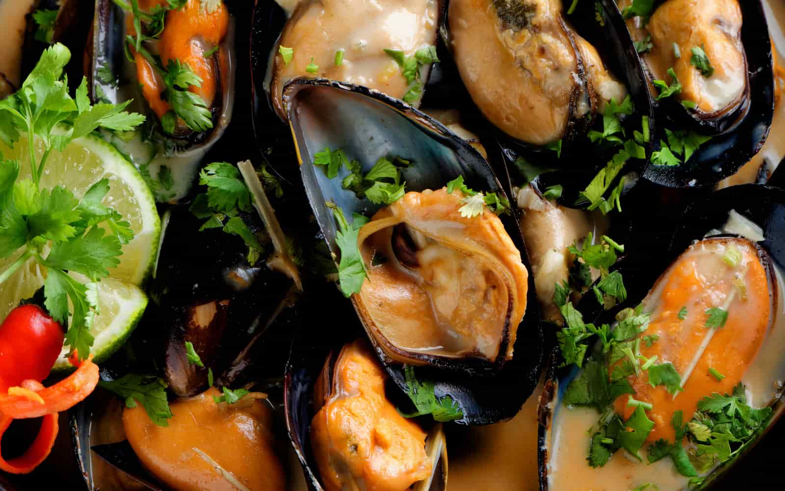 Coconut Curry Mussels - Nutracelle