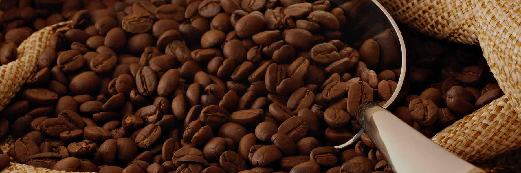 Coffee Flavour - Nutracelle