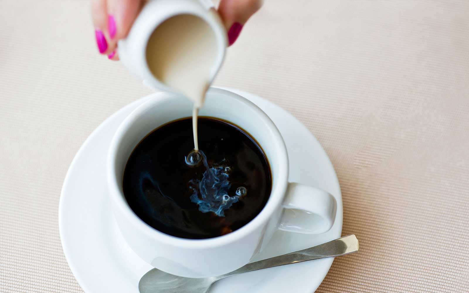 Easy Coffee Creamer - Nutracelle