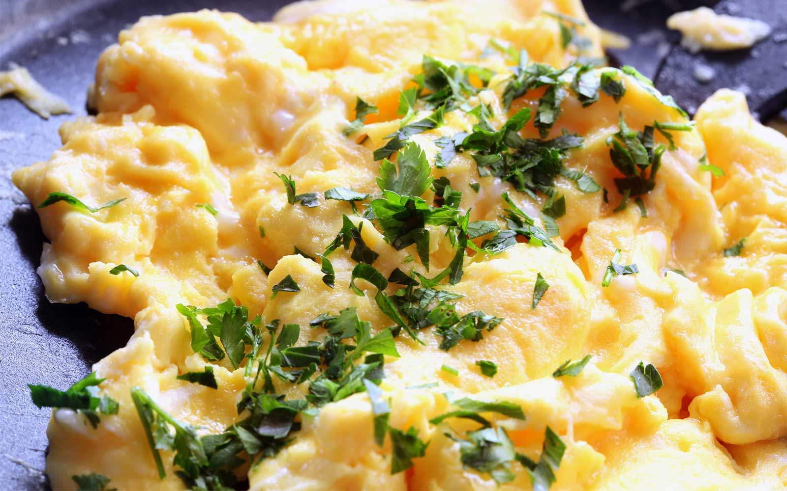 Easy Shaker Cup Eggs - Nutracelle