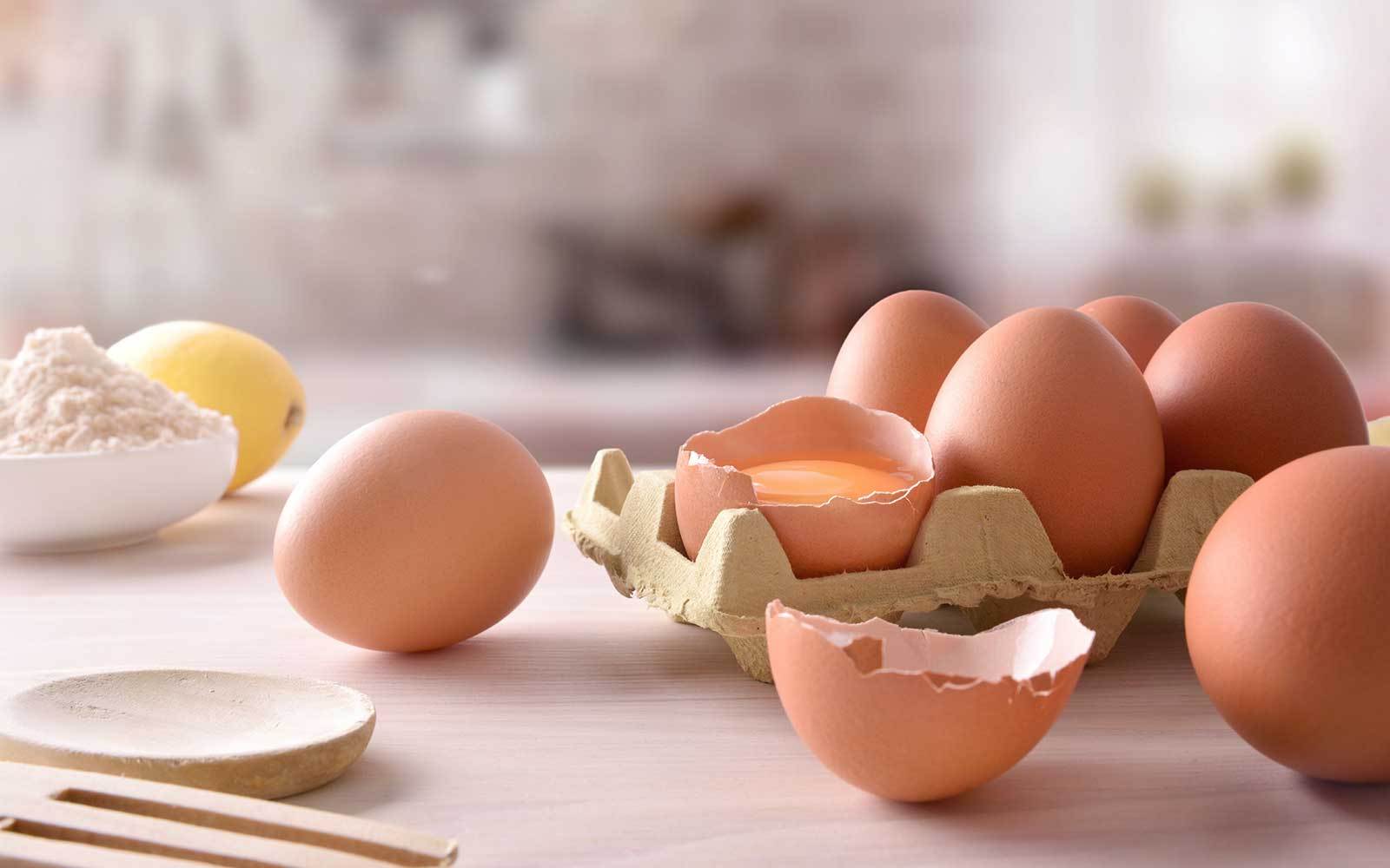 Eggs are EGG-cellent! - Nutracelle