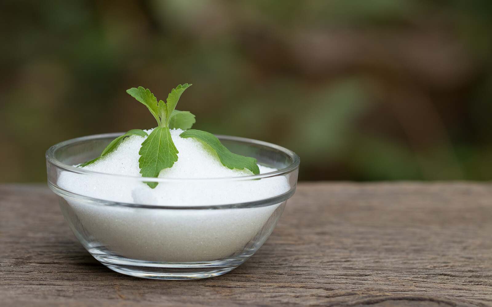 Exploring Non-Sugar Sweeteners: Stevia, Stevia Leaf, and More - Nutracelle
