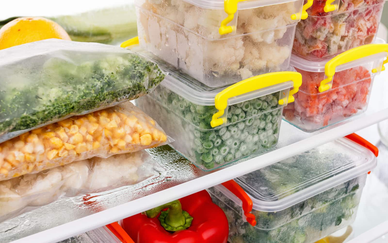 Foods to Freeze: And Your How-To Guide - Nutracelle