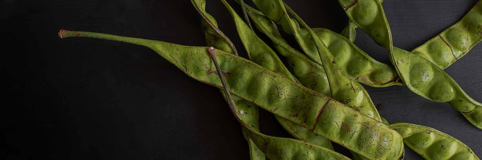 Guar Gum - Nutracelle