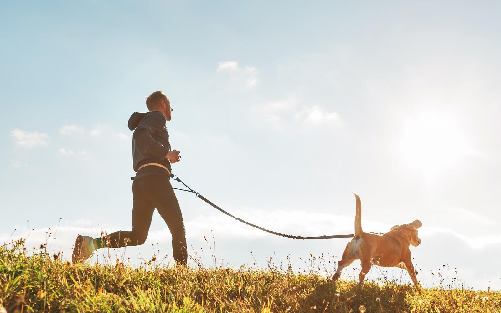 a healthy, active-looking man is on a run with his dog on a leash, the dog is running a few feet ahead of him, the photo is from the hero perspective and it's a bright sunny day