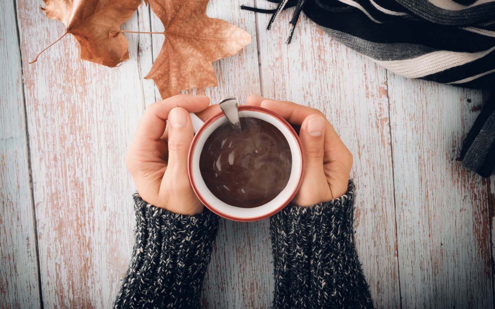 Indulgent High Protein Hot Chocolate - Nutracelle