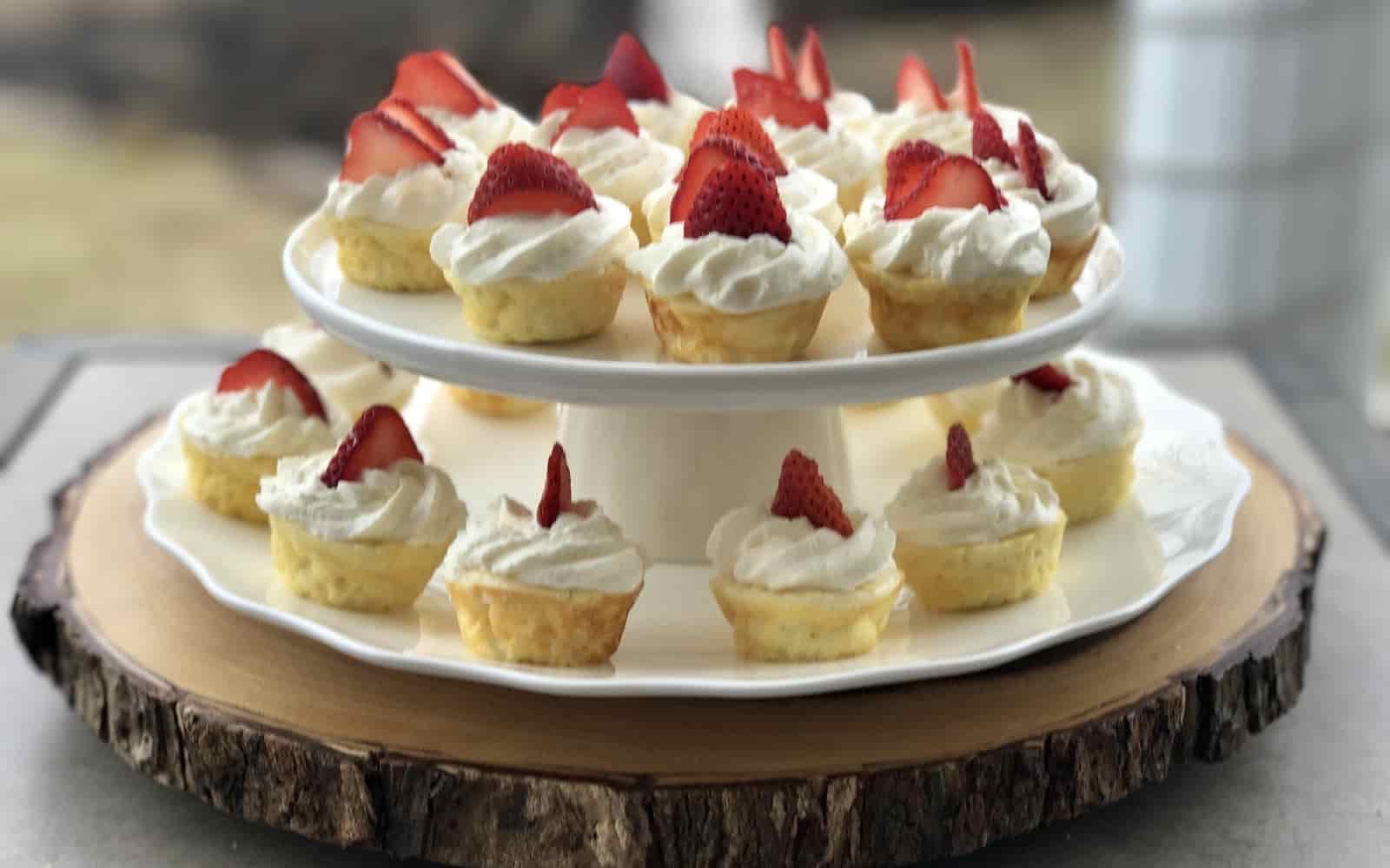 Mini Skinny Cheesecake - Nutracelle