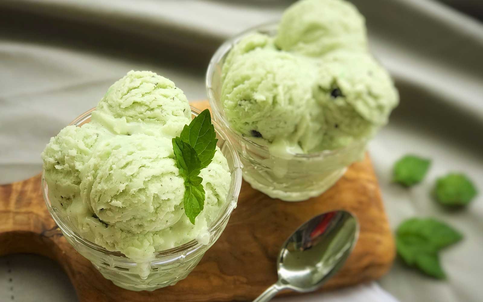 Mint Chocolate Chip Ice Cream - Nutracelle