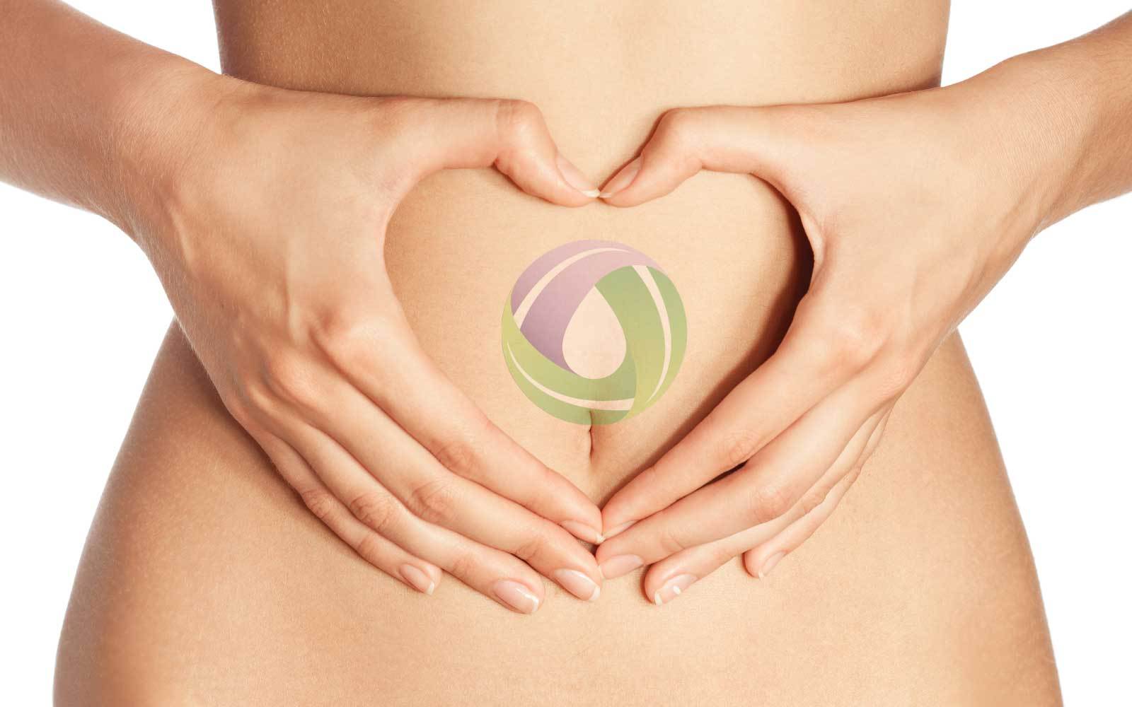 Prebiotic Fiber and Fat Burning - Nutracelle