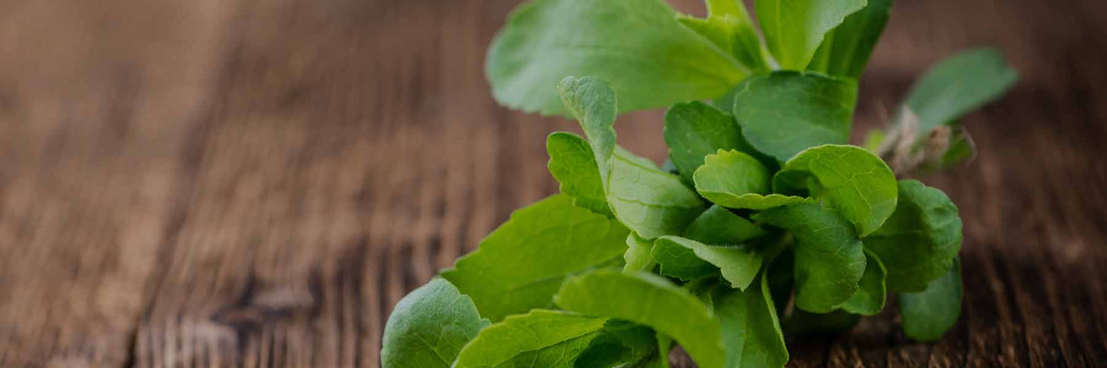 Pure Stevia Leaf - Nutracelle