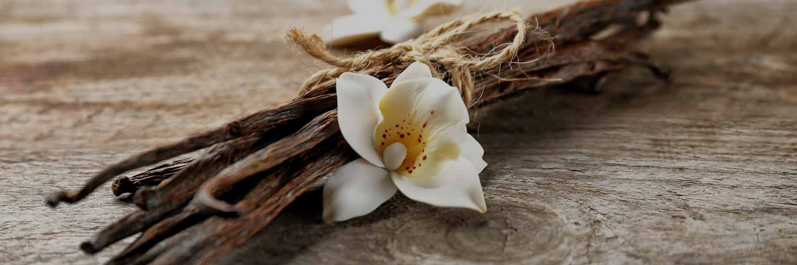 Real Vanilla - Nutracelle