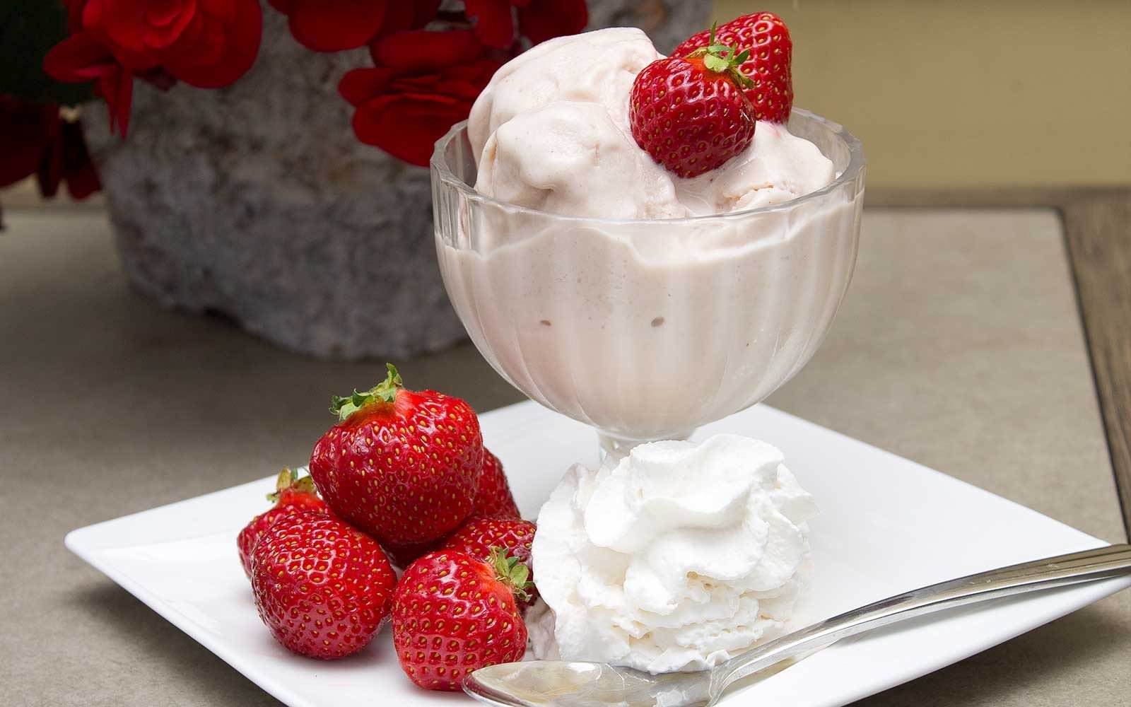 Strawberry Protein Ice Cream - Nutracelle