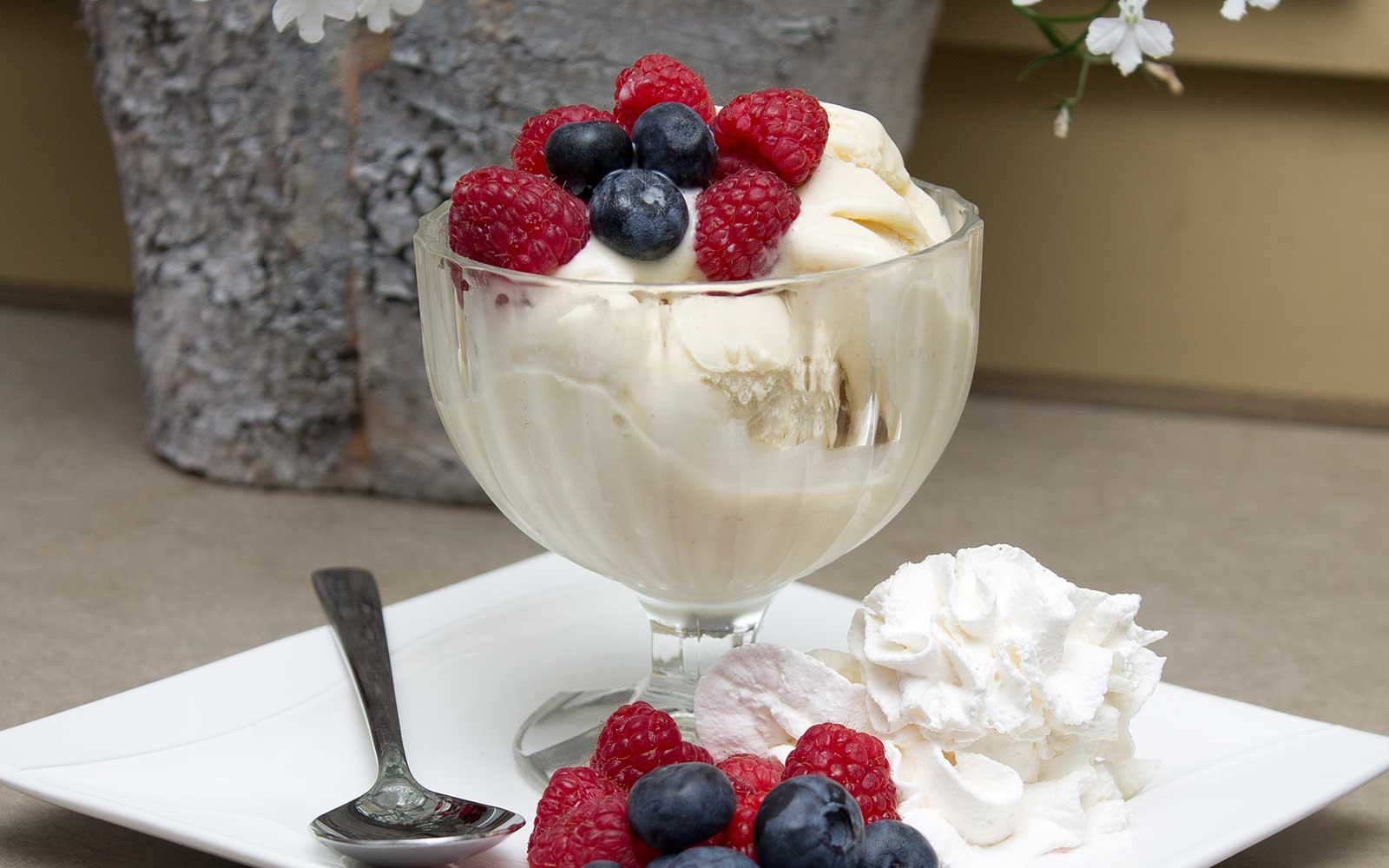 Sugar Free Vanilla Ice Cream - Nutracelle