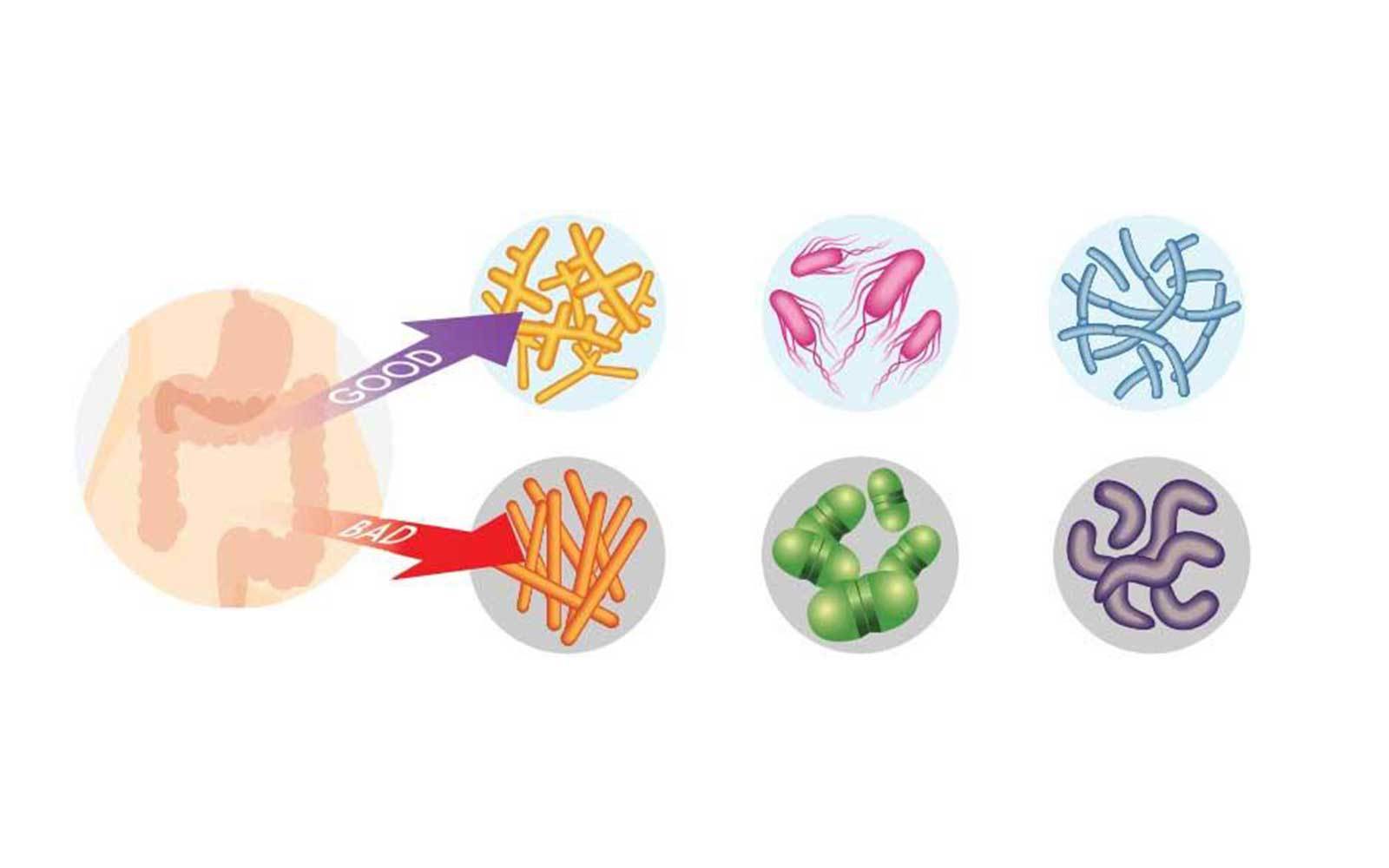 What Can You Expect To Happen? - Nutracelle