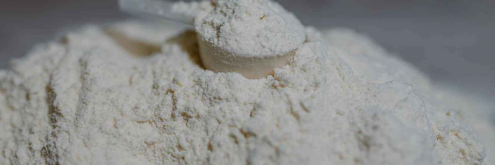 Whey Protein - Nutracelle